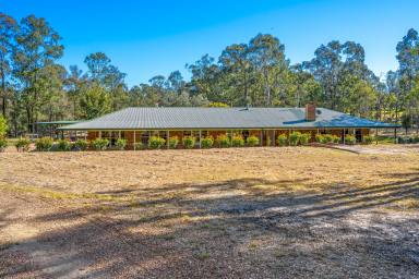 Farm Sold - NSW - Singleton - 2330 - 2.64 Acres at The Retreat...4 Bedrooms + Study!  (Image 2)