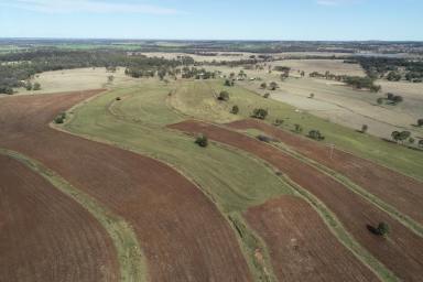 Farm Sold - QLD - Quinalow - 4403 - NANYAH
Extremely Well Improved and Positioned Grazing Property  (Image 2)