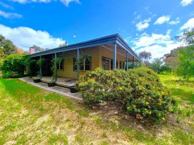 Farm Sold - VIC - Loddon Vale - 3575 - LODDON VALE RUN  (Image 2)