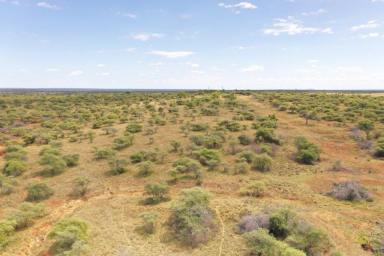 Farm For Sale - QLD - Charters Towers - 4820 - Development opportunity  (Image 2)