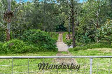 Farm Sold - QLD - Lamington - 4285 - 'Manderley'  (Image 2)