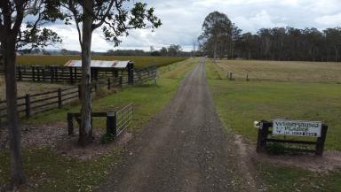 Farm For Sale - NSW - Leeville - 2470 - That Wonderful Cash Flow!  (Image 2)