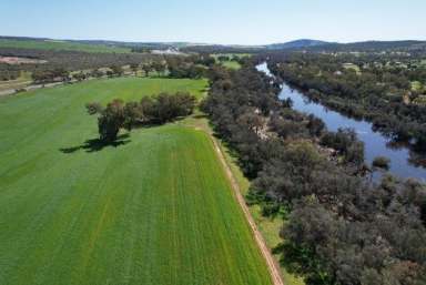 Farm Sold - WA - York - 6302 - A Supreme Block With Sub Division Potential  (Image 2)