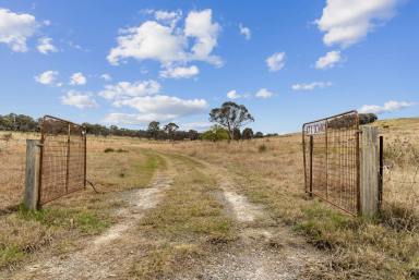 Farm Sold - NSW - Gunning - 2581 - The Great Escape  (Image 2)