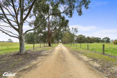 Farm Sold - VIC - Won Wron - 3971 - COMFORTABLE LIVING ON 15 ACRES  (Image 2)