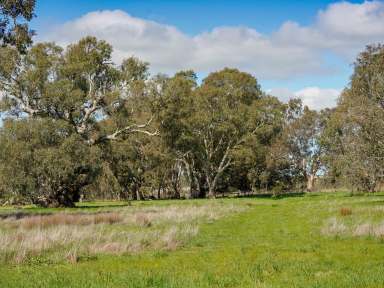 Farm For Sale - VIC - Glenthompson - 3293 - WOW - 11.66 Acres inside Town Boundary  (Image 2)