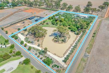 Farm For Sale - NSW - Moama - 2731 - Endless Possibilities  (Image 2)