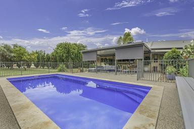 Farm For Sale - NSW - Moama - 2731 - Endless Possibilities  (Image 2)