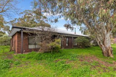 Farm For Sale - VIC - Evansford - 3371 - "KALIMNA" 176Ha (435 acres) 3 bedroom house, shedding, cropping/grazing, secure water.  (Image 2)