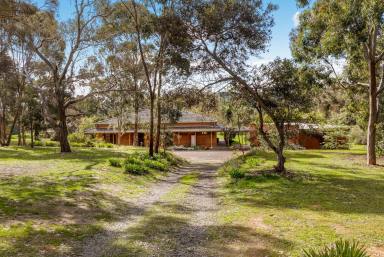 Farm Sold - VIC - Ravenswood - 3453 - COUNTRY CHARMER ON PICTURESQUE ACREAGE  (Image 2)