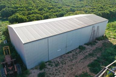 Farm Sold - VIC - Colignan - 3494 - CITRUS HOLDING OF 19.44 HECTARES  (Image 2)