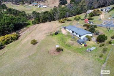 Farm Sold - NSW - Black Range - 2550 - SMALL ACREAGE CLOSE TO TOWN  (Image 2)