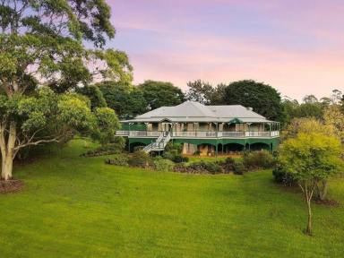 Farm Sold - QLD - Montville - 4560 - YOUR escape to the Country at Montville  (Image 2)