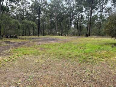 Farm Sold - QLD - Curra - 4570 - PRIVATE 5 ACRES  (Image 2)