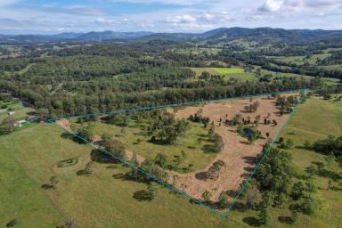 Farm Sold - NSW - Dyers Crossing - 2429 - The fresh start you have been looking for  (Image 2)