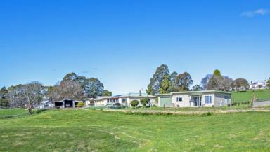 Farm For Sale - TAS - Natone - 7321 - Country Home + Cottage on 13 Acres of Pasture!  (Image 2)