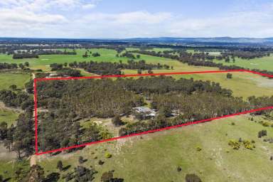 Farm Sold - VIC - Tamleugh - 3669 - Rural Idyllic Lifestyle - Majestic Bushland Setting  (Image 2)