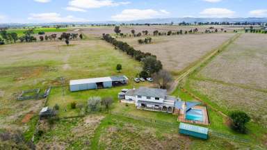 Farm Sold - NSW - Tamworth - 2340 - 'Glen Manor' - Country Escape  (Image 2)