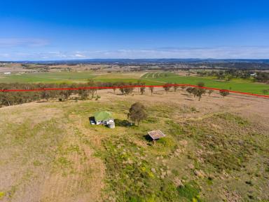 Farm Sold - QLD - Womina - 4370 - BRILLIANT 160 ACRE BLOCK UP FOR AUCTION  (Image 2)