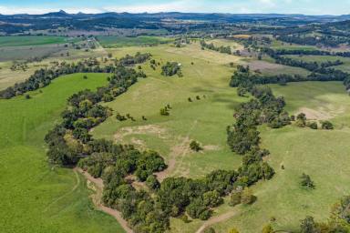 Farm Sold - QLD - Amamoor - 4570 - 100 acres of Magnificent Mary Valley  (Image 2)
