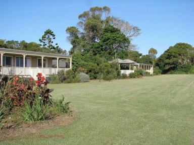 Farm For Sale - NSW - Goodwood Island - 2469 - Riverfront Lifestyle 40 Acres  (Image 2)