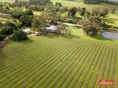 Farm Sold - SA - Williamstown - 5351 - THE BEST OF THE BAROSSA. COUNTRY HOMESTEAD ON 18.8 ACRES WITH VINEYARD.  (Image 2)