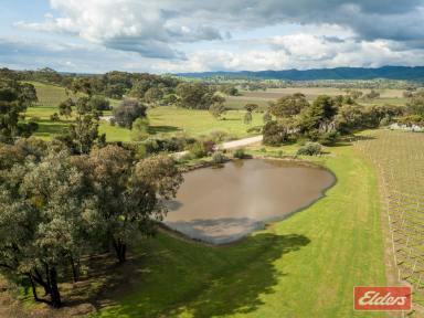 Farm Sold - SA - Williamstown - 5351 - THE BEST OF THE BAROSSA. COUNTRY HOMESTEAD ON 18.8 ACRES WITH VINEYARD.  (Image 2)
