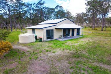 Farm Sold - NSW - Failford - 2430 - Lounging Luxury  (Image 2)