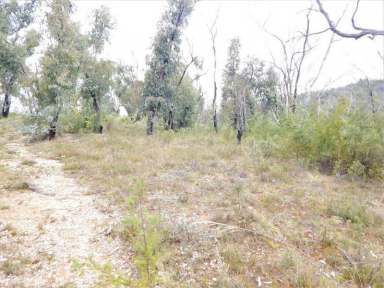 Farm Sold - NSW - Peak View - 2630 - Lot 36, "Good Creek" 40 Acres - Caravan & New C/B Shed  (Image 2)