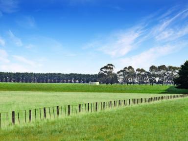 Farm Sold - VIC - Tabor - 3289 - Auction 324.18 Acres - 131.19 Hectares  (Image 2)