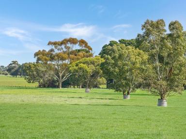 Farm Sold - VIC - Tabor - 3289 - Auction 324.18 Acres - 131.19 Hectares  (Image 2)
