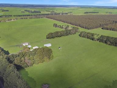 Farm Sold - VIC - Hawkesdale - 3287 - Auction "Calderbank" 150.98  Ac - 61.10 Ha approx.  (Image 2)