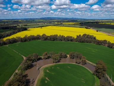 Farm Sold - NSW - Culcairn - 2660 - A Long Family Tenure in the Eastern Riverina  (Image 2)