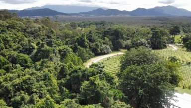 Farm Sold - QLD - Bramston Beach - 4871 - Ocean Views - 40Ha - 1km from beach - WIWO  (Image 2)