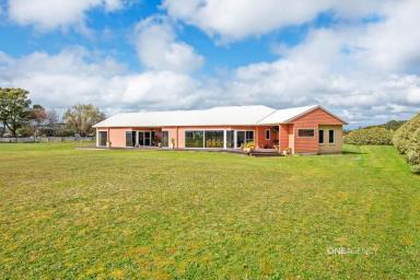 Farm For Sale - TAS - Smithton - 7330 - Architecturally designed home on 2 acres  (Image 2)