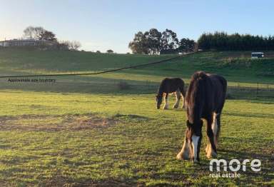 Farm Sold - TAS - Hayes - 7140 - Stunning river front land with spectacular views and house site  (Image 2)