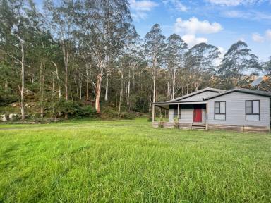 Farm For Sale - NSW - Laguna - 2325 - Modern Country Lifestyle  (Image 2)