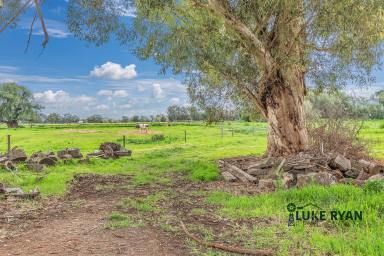 Farm Sold - VIC - Nanneella - 3561 - 4 BR COUNTRY RESIDENCE ON 6 ACRES  (Image 2)