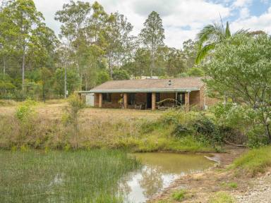 Farm Sold - QLD - The Palms - 4570 - Renovator on 5.6 Acres!!  (Image 2)