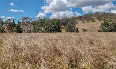 Farm Sold - QLD - Alice Creek - 4610 - SOLD PRIOR TO AUCTION    -   Picturesque Grazing On The Eastern Fall Of The Bunya Mountains.  (Image 2)