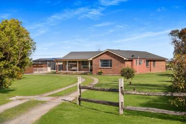 Farm Sold - NSW - Meroo Meadow - 2540 - Family-Wise Lifestyle, Exceptional Location  (Image 2)