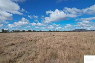 Farm Sold - NSW - Gunnedah - 2380 - RURAL LIFESTYLE DREAM ONLY MINUTES FROM TOWN  (Image 2)