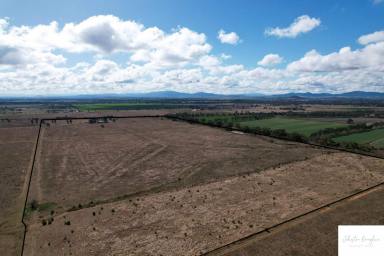 Farm Sold - NSW - Gunnedah - 2380 - RURAL LIFESTYLE DREAM ONLY MINUTES FROM TOWN  (Image 2)
