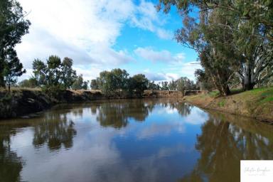 Farm Sold - NSW - Gunnedah - 2380 - PRODUCTIVE RIVER COUNTRY WITH BUILDING ENTITLEMENT  (Image 2)