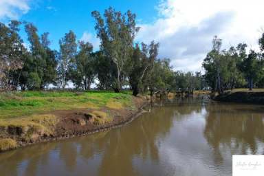 Farm Sold - NSW - Gunnedah - 2380 - PRODUCTIVE RIVER COUNTRY WITH BUILDING ENTITLEMENT  (Image 2)