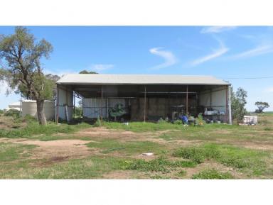 Farm Sold - NSW - Coonamble - 2829 - Affordable Livestock and Farming Country  (Image 2)