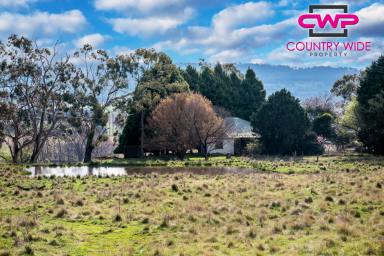 Farm Sold - NSW - Glen Innes - 2370 - Premium Tablelands Grazing  (Image 2)