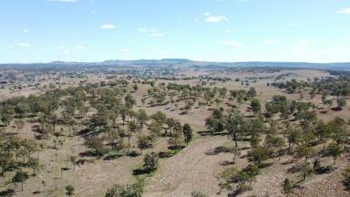 Farm Sold - QLD - Kinbombi - 4601 - CATTLE COUNTRY  (Image 2)