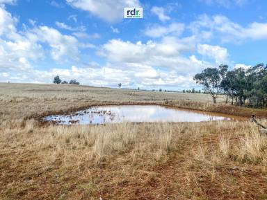 Farm Sold - NSW - Inverell - 2360 - PROPERTY SOLD  (Image 2)