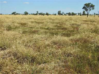 Farm Sold - QLD - Longreach - 4730 - Baratria Aggregation  (Image 2)